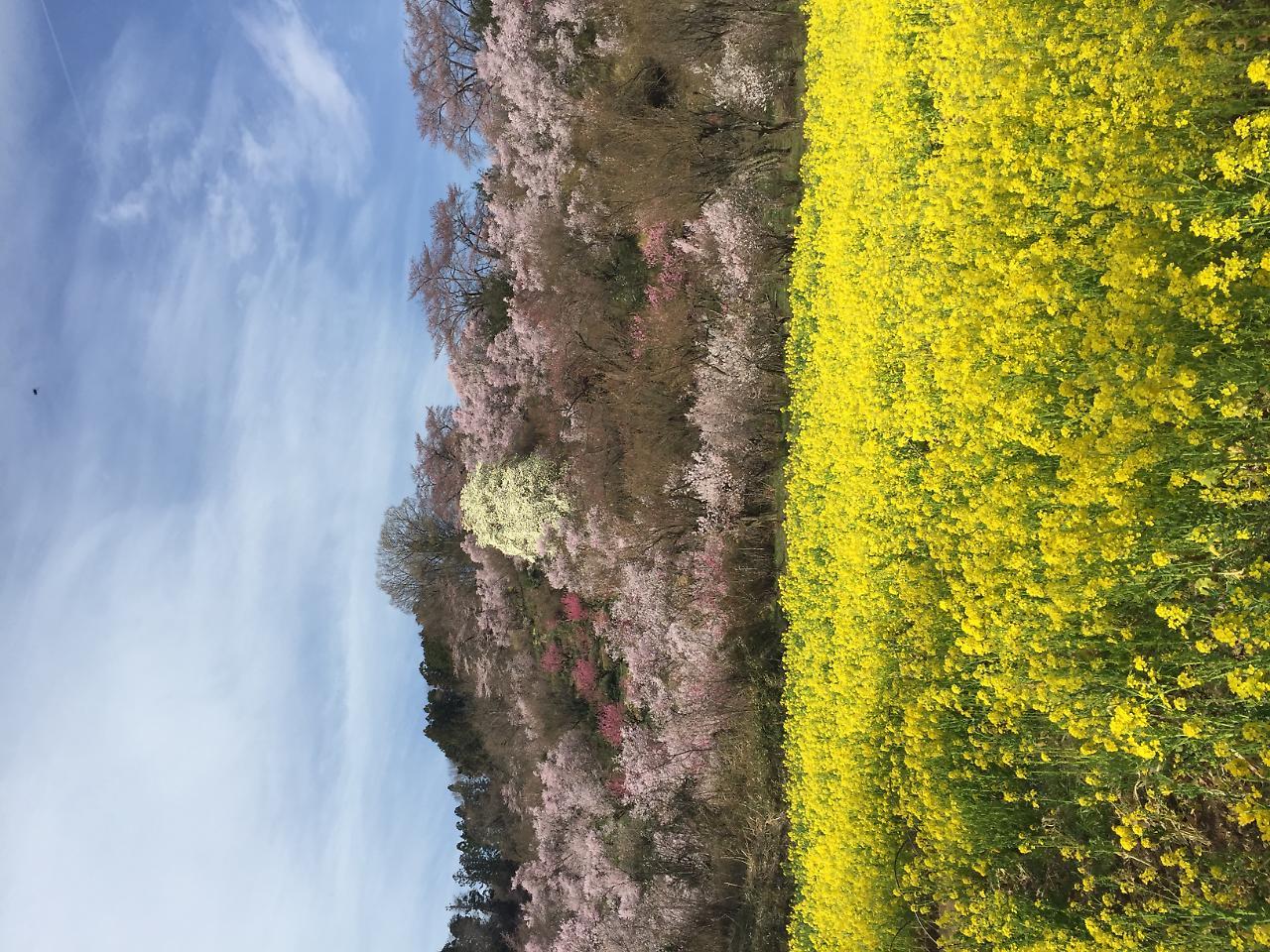 Hotel Sunroute Fukushima Fukushima (Fukushima) Exterior foto
